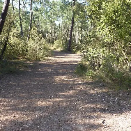 Auxmouettes Gv2 Saint-Hilaire-de-Riez