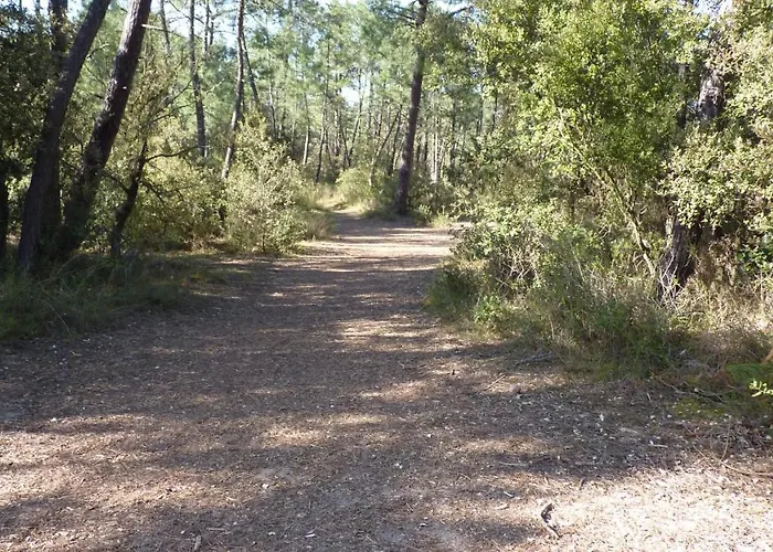 Auxmouettes Gv2 Saint-Hilaire-de-Riez